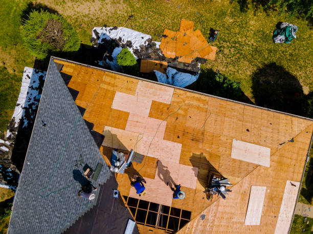 Best Roof Waterproofing Services  in National City, CA