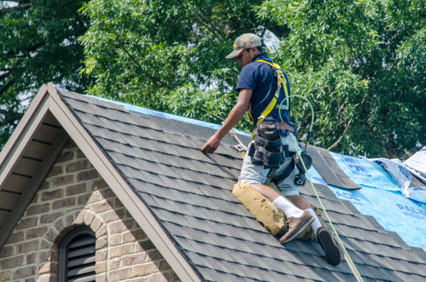 Best Best Roofing Contractors  in National City, CA